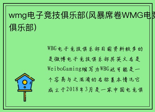 wmg电子竞技俱乐部(风暴席卷WMG电竞俱乐部)